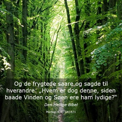Picture 03 - Markus 4:41 DA1871 - Og de frygtede saare og sagde til hverandre: - Bible Verse Picture