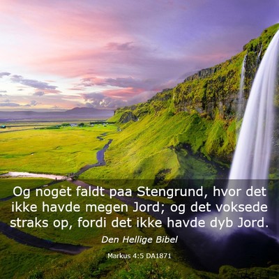 Picture 03 - Markus 4:5 DA1871 - Og noget faldt paa Stengrund, hvor det ikke havde - Bible Verse Picture