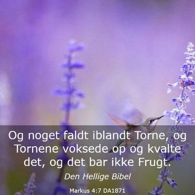 Picture 03 - Markus 4:7 DA1871 - Og noget faldt iblandt Torne, og Tornene voksede - Bible Verse Picture