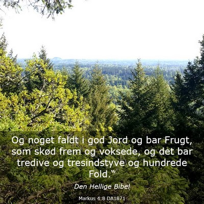 Picture 03 - Markus 4:8 DA1871 - Og noget faldt i god Jord og bar Frugt, som skød - Bible Verse Picture