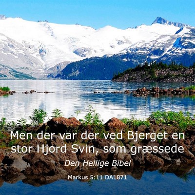 Picture 03 - Markus 5:11 DA1871 - Men der var der ved Bjerget en stor Hjord Svin, - Bible Verse Picture
