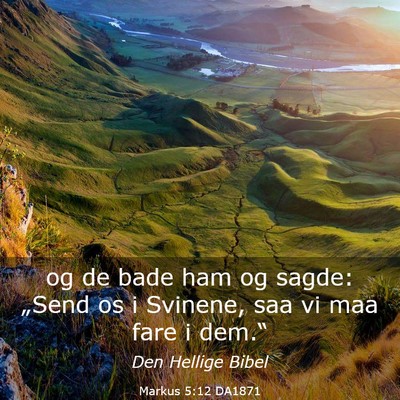 Picture 03 - Markus 5:12 DA1871 - og de bade ham og sagde: „Send os i Svinene, - Bible Verse Picture