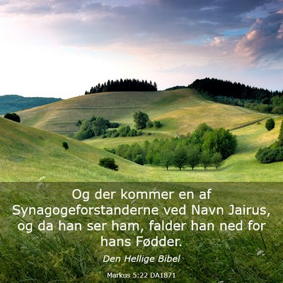 Picture 03 - Markus 5:22 DA1871 - Og der kommer en af Synagogeforstanderne ved Navn - Bible Verse Picture