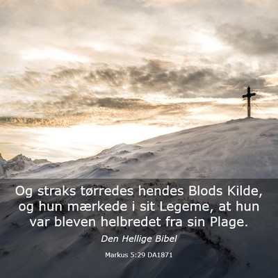 Picture 03 - Markus 5:29 DA1871 - Og straks tørredes hendes Blods Kilde, og hun - Bible Verse Picture