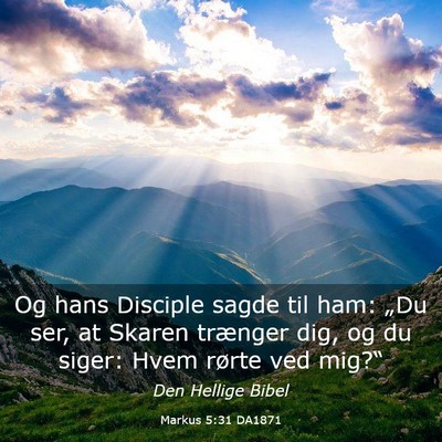 Picture 03 - Markus 5:31 DA1871 - Og hans Disciple sagde til ham: „Du ser, at - Bible Verse Picture