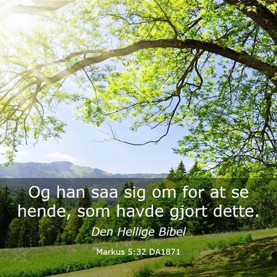 Picture 03 - Markus 5:32 DA1871 - Og han saa sig om for at se hende, som havde - Bible Verse Picture