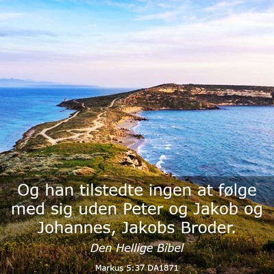 Picture 03 - Markus 5:37 DA1871 - Og han tilstedte ingen at følge med sig uden - Bible Verse Picture