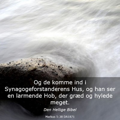 Picture 03 - Markus 5:38 DA1871 - Og de komme ind i Synagogeforstanderens Hus, og - Bible Verse Picture