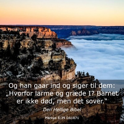 Picture 03 - Markus 5:39 DA1871 - Og han gaar ind og siger til dem: „Hvorfor - Bible Verse Picture