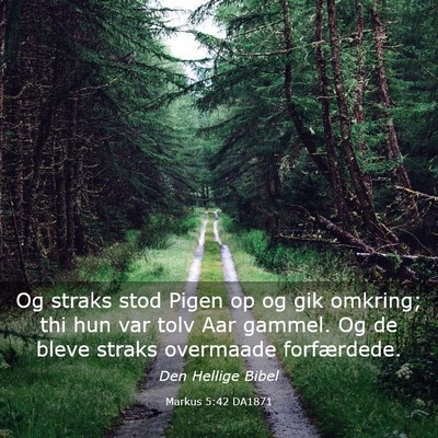 Picture 03 - Markus 5:42 DA1871 - Og straks stod Pigen op og gik omkring; thi hun - Bible Verse Picture