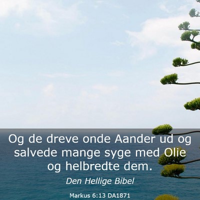 Picture 03 - Markus 6:13 DA1871 - Og de dreve onde Aander ud og salvede mange syge - Bible Verse Picture