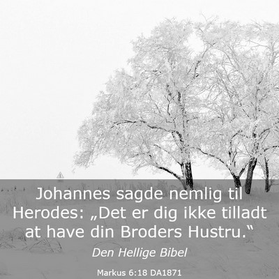 Picture 03 - Markus 6:18 DA1871 - Johannes sagde nemlig til Herodes: „Det er dig - Bible Verse Picture