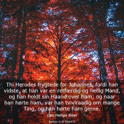 Picture 03 - Markus 6:20 DA1871 - Thi Herodes frygtede for Johannes, fordi han - Bible Verse Picture