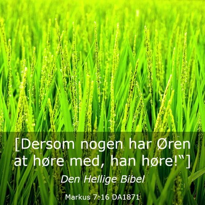 Picture 03 - Markus 7:16 DA1871 - [Dersom nogen har Øren at høre med, han - Bible Verse Picture