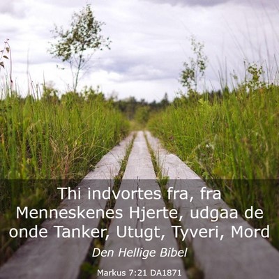 Picture 03 - Markus 7:21 DA1871 - Thi indvortes fra, fra Menneskenes Hjerte, udgaa - Bible Verse Picture