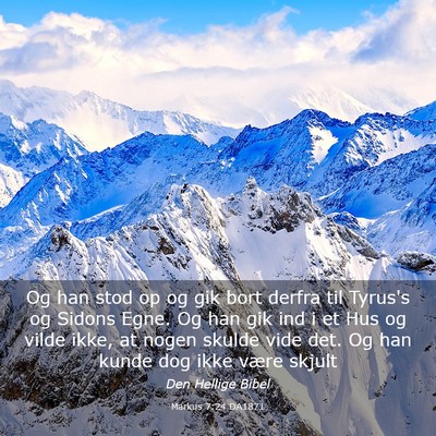 Picture 03 - Markus 7:24 DA1871 - Og han stod op og gik bort derfra til Tyrus's og - Bible Verse Picture