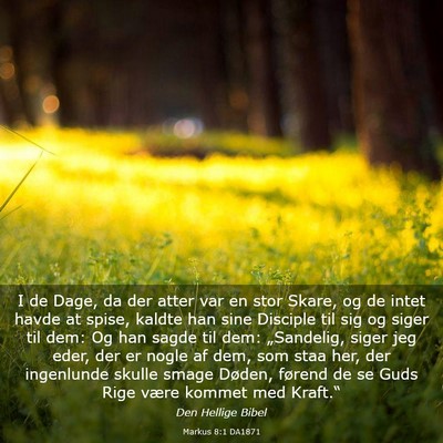 Picture 03 - Markus 8:1 DA1871 - I de Dage, da der atter var en stor Skare, og de - Bible Verse Picture