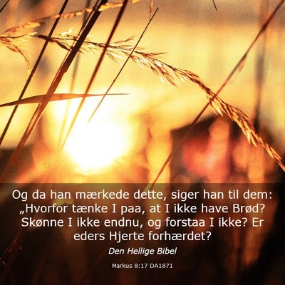 Picture 03 - Markus 8:17 DA1871 - Og da han mærkede dette, siger han til dem: - Bible Verse Picture