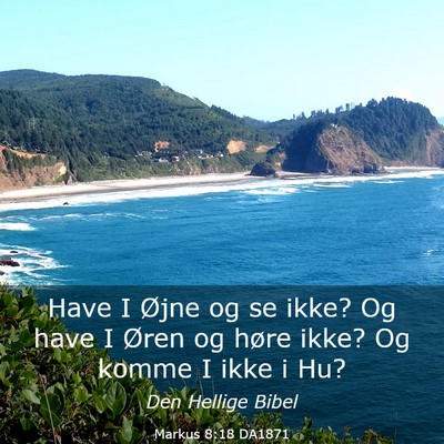 Picture 03 - Markus 8:18 DA1871 - Have I Øjne og se ikke? Og have I Øren og høre - Bible Verse Picture