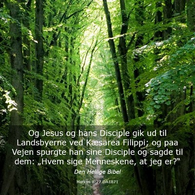 Picture 03 - Markus 8:27 DA1871 - Og Jesus og hans Disciple gik ud til Landsbyerne - Bible Verse Picture