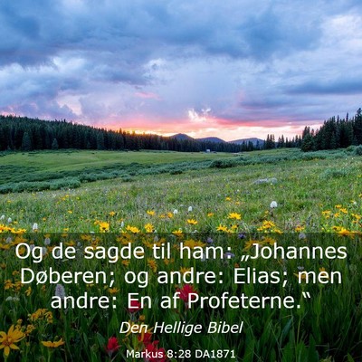 Picture 03 - Markus 8:28 DA1871 - Og de sagde til ham: „Johannes Døberen; og - Bible Verse Picture