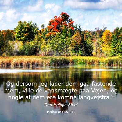 Picture 03 - Markus 8:3 DA1871 - Og dersom jeg lader dem gaa fastende hjem, ville - Bible Verse Picture