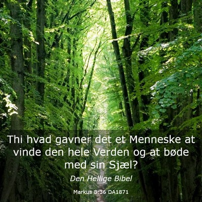Picture 03 - Markus 8:36 DA1871 - Thi hvad gavner det et Menneske at vinde den hele - Bible Verse Picture
