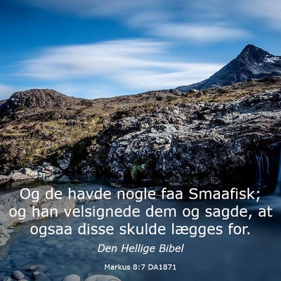 Picture 03 - Markus 8:7 DA1871 - Og de havde nogle faa Smaafisk; og han velsignede - Bible Verse Picture