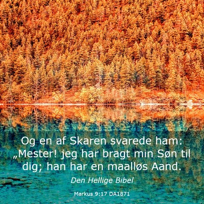 Picture 03 - Markus 9:17 DA1871 - Og en af Skaren svarede ham: „Mester! jeg har - Bible Verse Picture