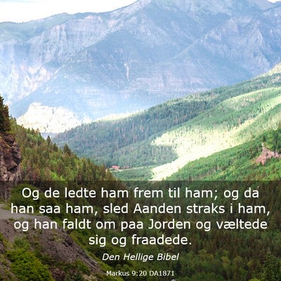 Picture 03 - Markus 9:20 DA1871 - Og de ledte ham frem til ham; og da han saa ham, - Bible Verse Picture