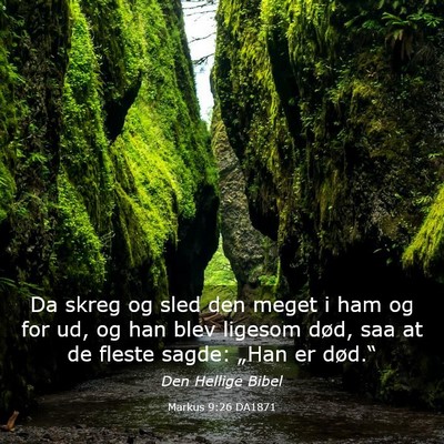 Picture 03 - Markus 9:26 DA1871 - Da skreg og sled den meget i ham og for ud, og - Bible Verse Picture