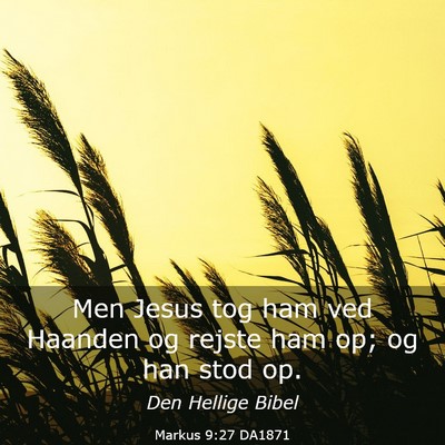 Picture 03 - Markus 9:27 DA1871 - Men Jesus tog ham ved Haanden og rejste ham op; - Bible Verse Picture