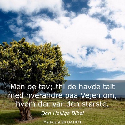 Picture 03 - Markus 9:34 DA1871 - Men de tav; thi de havde talt med hverandre paa - Bible Verse Picture