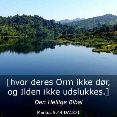 Picture 03 - Markus 9:44 DA1871 - [hvor deres Orm ikke dør, og Ilden ikke - Bible Verse Picture