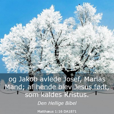 Picture 03 - Matthæus 1:16 DA1871 - og Jakob avlede Josef, Marias Mand; af hende blev - Bible Verse Picture