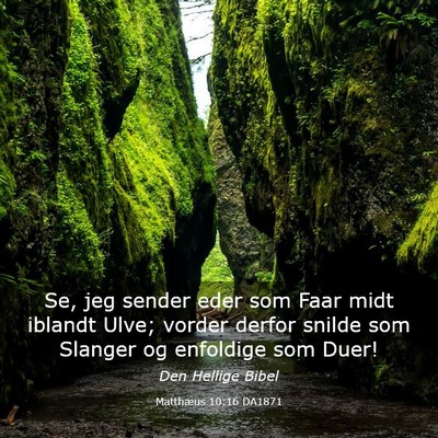 Picture 03 - Matthæus 10:16 DA1871 - Se, jeg sender eder som Faar midt iblandt Ulve; - Bible Verse Picture