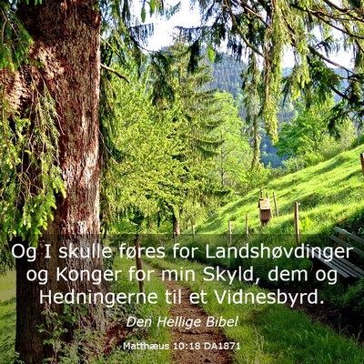 Picture 03 - Matthæus 10:18 DA1871 - Og I skulle føres for Landshøvdinger og Konger - Bible Verse Picture