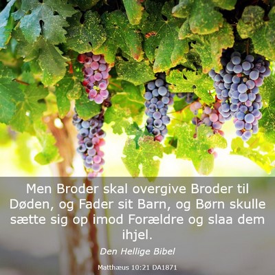 Picture 03 - Matthæus 10:21 DA1871 - Men Broder skal overgive Broder til Døden, og - Bible Verse Picture