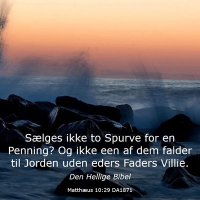 Picture 03 - Matthæus 10:29 DA1871 - Sælges ikke to Spurve for en Penning? Og ikke - Bible Verse Picture