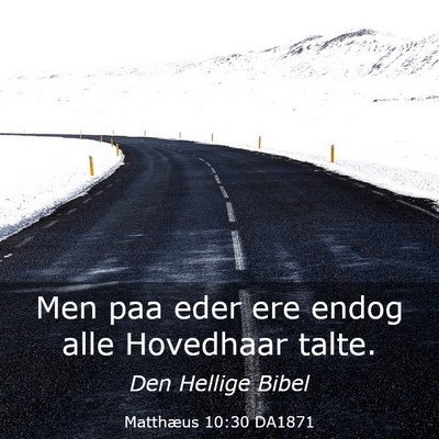 Picture 03 - Matthæus 10:30 DA1871 - Men paa eder ere endog alle Hovedhaar - Bible Verse Picture
