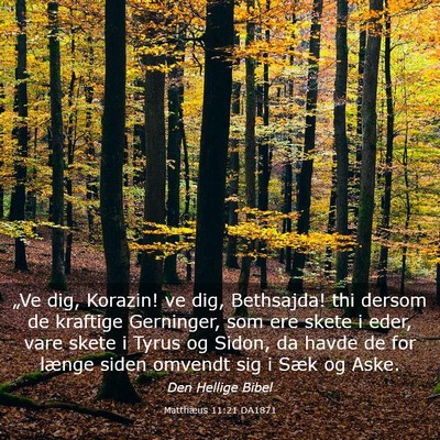 Picture 03 - Matthæus 11:21 DA1871 - „Ve dig, Korazin! ve dig, Bethsajda! thi dersom - Bible Verse Picture