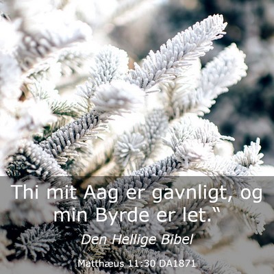 Picture 03 - Matthæus 11:30 DA1871 - Thi mit Aag er gavnligt, og min Byrde er - Bible Verse Picture