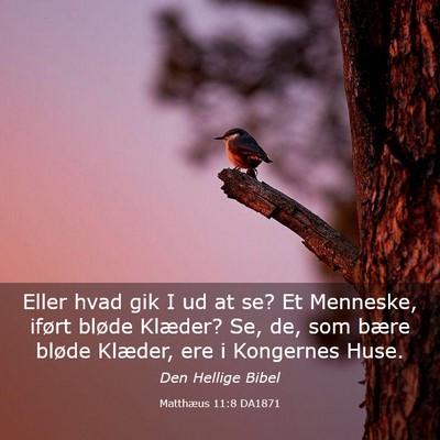 Picture 03 - Matthæus 11:8 DA1871 - Eller hvad gik I ud at se? Et Menneske, iført - Bible Verse Picture