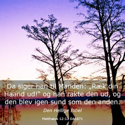 Picture 03 - Matthæus 12:13 DA1871 - Da siger han til Manden: „Ræk din Haand ud!“ - Bible Verse Picture