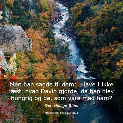 Picture 03 - Matthæus 12:3 DA1871 - Men han sagde til dem: „Have I ikke læst, hvad - Bible Verse Picture