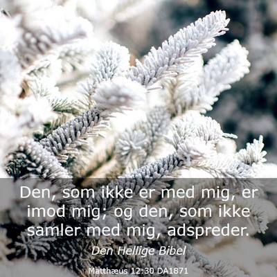 Picture 03 - Matthæus 12:30 DA1871 - Den, som ikke er med mig, er imod mig; og den, - Bible Verse Picture