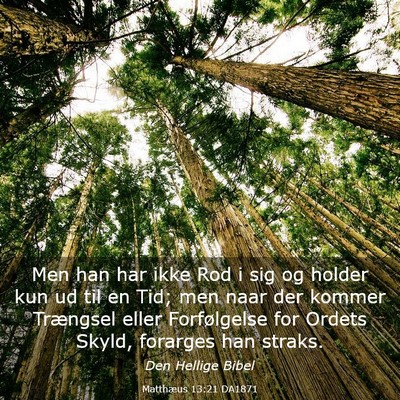Picture 03 - Matthæus 13:21 DA1871 - Men han har ikke Rod i sig og holder kun ud til - Bible Verse Picture