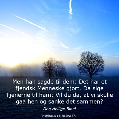 Picture 03 - Matthæus 13:28 DA1871 - Men han sagde til dem: Det har et fjendsk - Bible Verse Picture