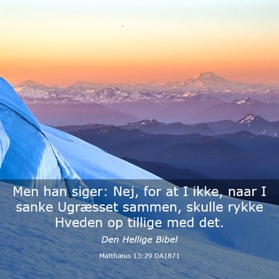Picture 03 - Matthæus 13:29 DA1871 - Men han siger: Nej, for at I ikke, naar I sanke - Bible Verse Picture
