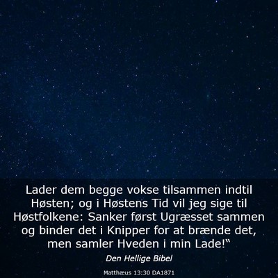 Picture 03 - Matthæus 13:30 DA1871 - Lader dem begge vokse tilsammen indtil Høsten; - Bible Verse Picture